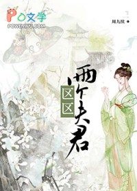 区区两个夫君